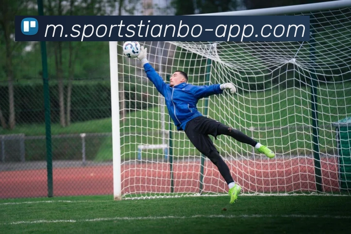 天博体育发展历程